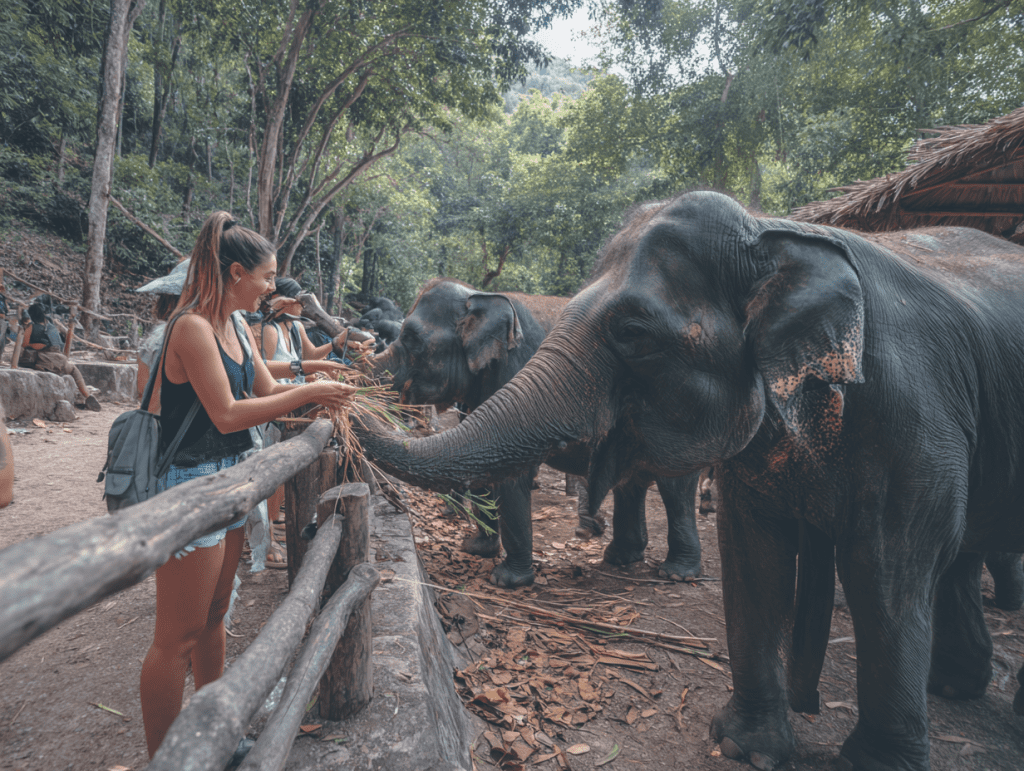 4. 메탄 엘리펀트 파크