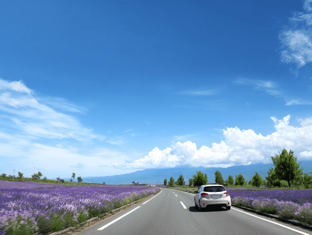 3. 렌터카 vs 대중교통, 어떤 게 더 좋을까요?