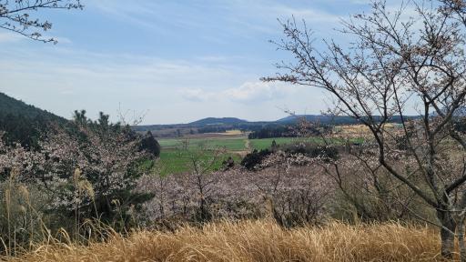 58. 골체오름