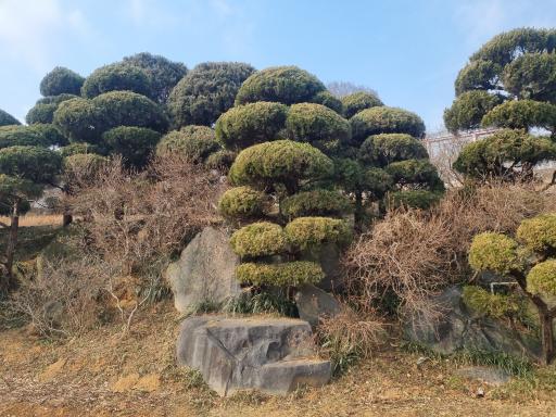 74. 그림같은수목원