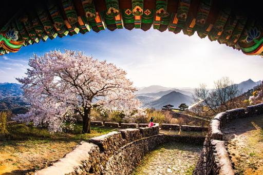 25. 금성산성