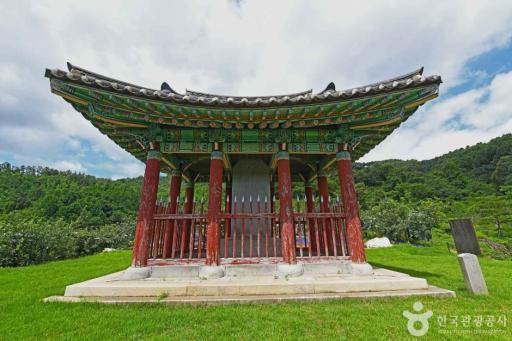 46. 충주억정사지대지국사탑비