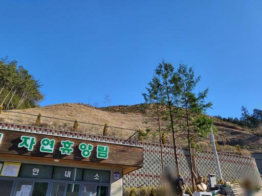 148. 하동편백자연휴양림