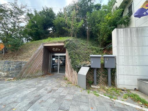 36. 뒹굴동굴