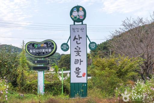 칠갑산산꽃마을