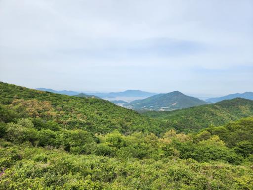 56. 천등산철쭉공원