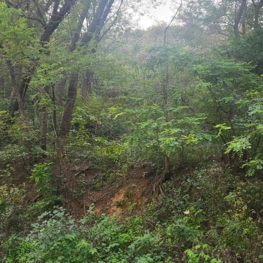 도덕산인공폭포출렁다리