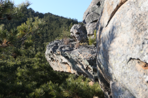 철암산화석산지