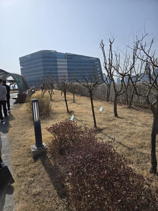 682. 정부세종청사옥상정원