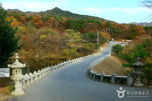 23. 팔공산자연공원 동화사지구