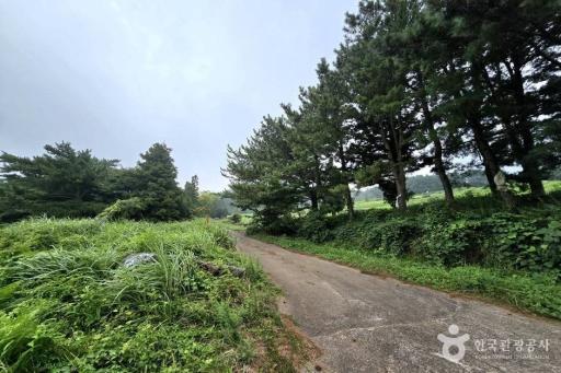65. 걸시오름