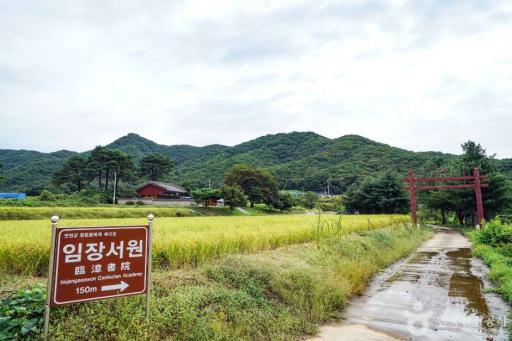 164. 임장서원