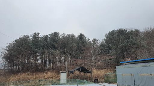 금학산