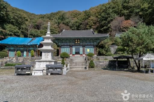 154. 백련사