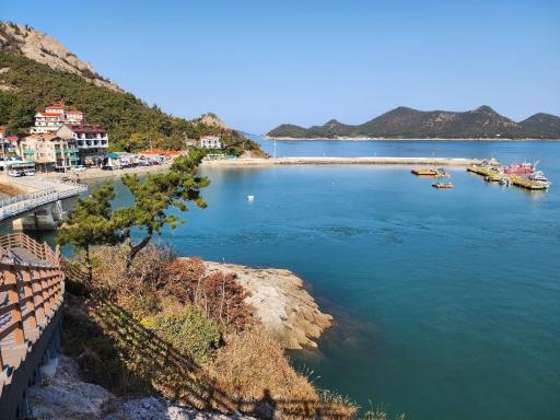 122. 대장도