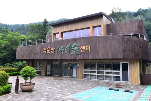 228. 백운산치유의숲