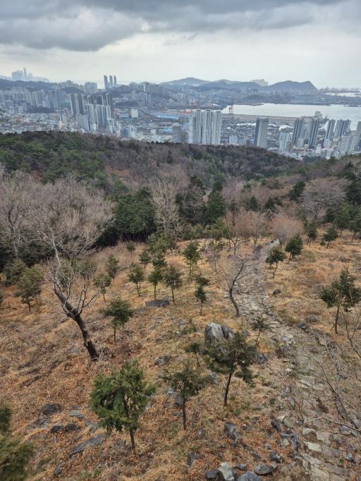 5. 구봉산치유숲길