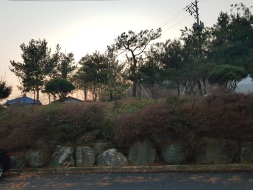 119. 청룡사