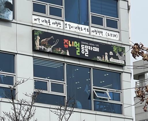50. 쥬니멀