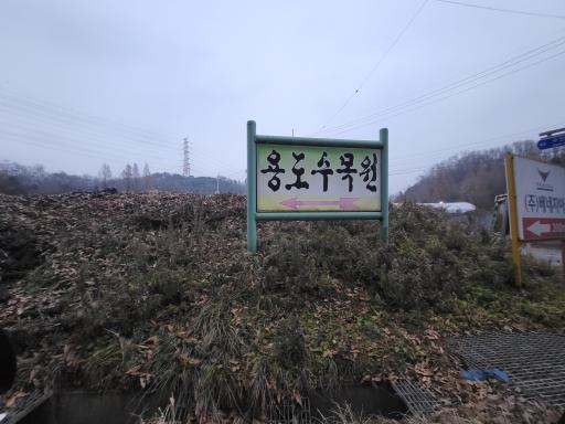 24. 용도수목원