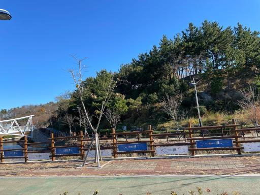 141. 삼학도