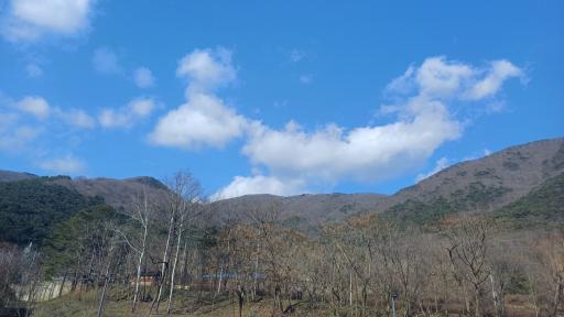 만연산치유의숲