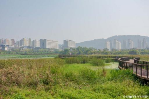 45. 기지제