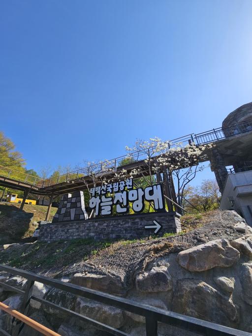 103. 태백산하늘전망대
