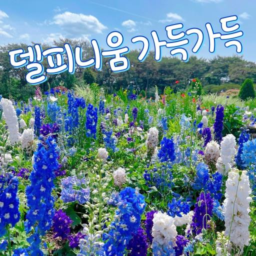 10. 벽초지수목원
