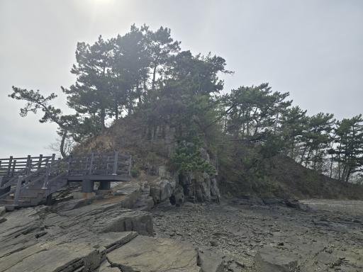 221. 월등도