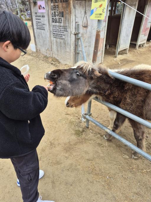 용인곤충테마파크 곤충생태체험관