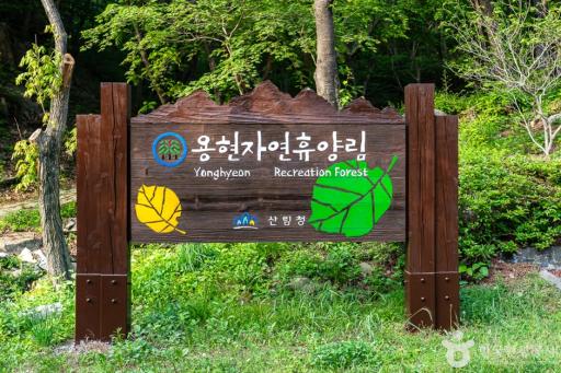 용현자연휴양림