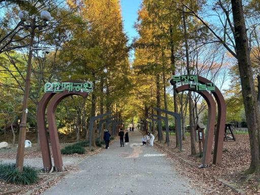 246. 인천대공원 치유숲길
