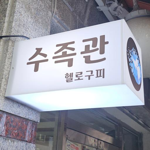 29. 헬로구피