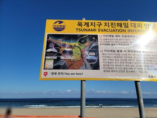 10. 헌화로