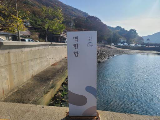 38. 벽련항