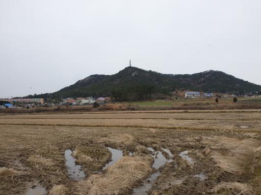 129. 안좌도