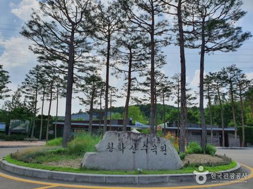 10. 황학산수목원
