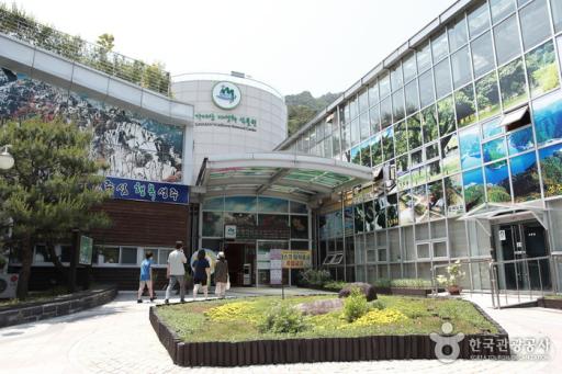 84. 가야산야생화식물원