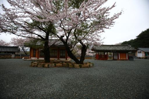 160. 남지장사