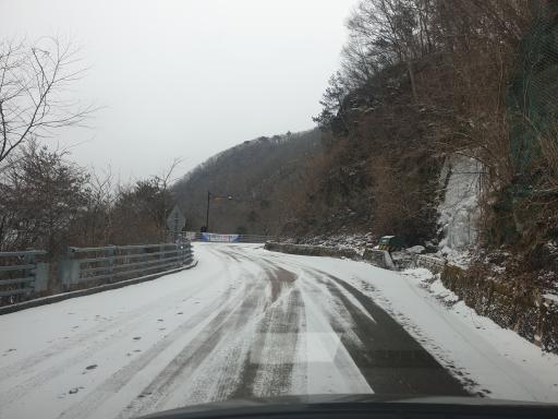 지리산천년송