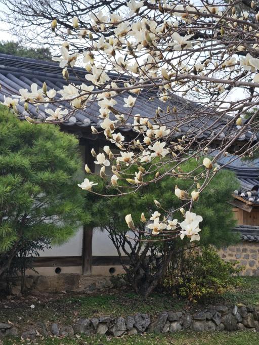 43. 선암서원