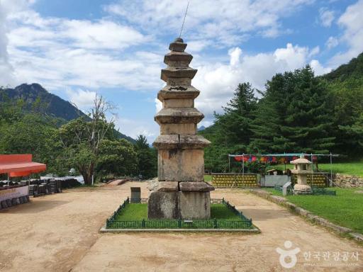 1161. 충주미륵리오층석탑