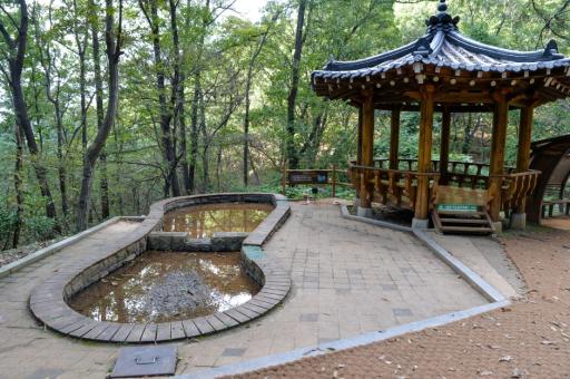 8. 장동산림욕장