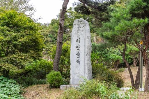 92. 이안숲속