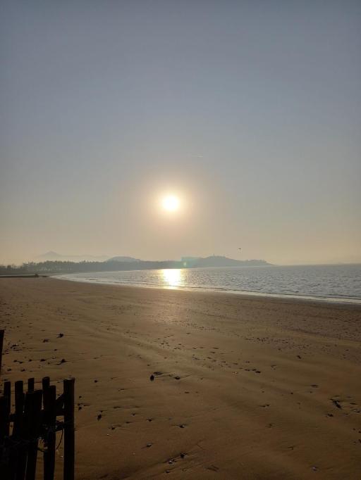 437. 면전해수욕장