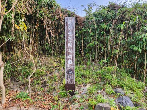울주천전리명문과암각화