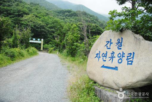 233. 간월자연휴양림