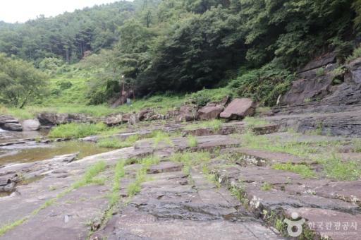 888. 천전리공룡발자국화석