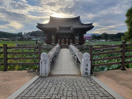 38. 군자정